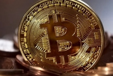 Investasi Bitcoin, Berikut Tips Aman Bagi Pemula Agar Untung Terus