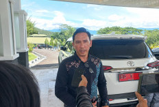  RSUD Lebong Rekrut TKS 