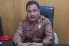 Distan Bengkulu Selatan Siapkan 6.600 Ton Pupuk Subsidi 2026, Kuota Turun Akibat Data Petani Menyusut