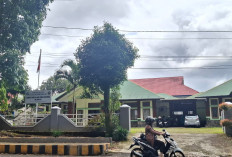  TNKS Pulihkan Ekosistem Hutan Rejang Lebong