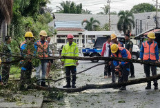 Tebang Bayang Demi Listrik Handal, PLN ULP Manna Lakukan Ini
