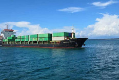 Kapal Peti Kemas Kembali Masuk Pelabuhan Pulau Baai, Pelindo Sebut Bukti Nyata Normalisasi Alur