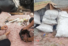  Viral, Uang Cacahan  yang Dibuang di TPS Liar  di Bekasi Milik BI, Ini Penjelasan Polisi 