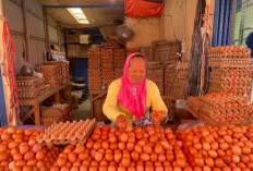  Suryani (63), 25 Tahun Berjualan Telur di Pasar Panorama, Bagikan Kisahnya