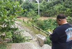 Tak Kunjung Diperbaiki, Rifai Cek Kondisi Jembatan dan Jalan Padang Panjang yang Rusak Parah