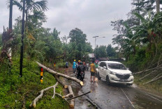 Cuaca Tak Menentu di Lebong, Warga Diimbau Waspada Hujan dan Angin Badai