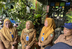 RSUD Tais Berbenah,   Revisi Perbup Insentif