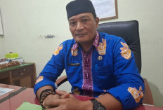 Reformasi Birokrasi Dimulai, Mukomuko Siapkan Penggabungan OPD Demi Efisiensi dan Pelayanan Cepat