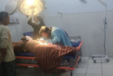 Diduga Karena Batas Tanah, Nyawa Warga Tanjung Seru Melayang Usai Ditikam Tetangganya