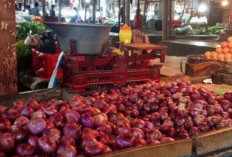 Harga Bawang Merah Naik Signifikan, Segini Sekarang