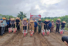 Dukung Ketahanan Pangan,   Polres Kaur Tanam Jagung