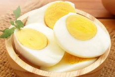  Makan Telur Rebus Sebelum Tidur, Ini Khasiatnya