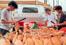 Harga Ayam Potong Melonjak, Sekarang Segini