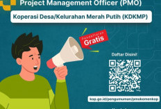 Kemenkop Buka Lowongan Kerja, Usia 60 Tahun Bisa Daftar, Syarat dan Dokumen yang Perlu Disiapkan 