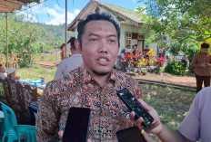  Bulog Rejang Lebong Targetkan   Serap  Segini Ton Jagung