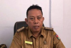 PPDB SD di Kabupaten Mukmuko Tanpa Jalur Prestasi, Ini Penjelasan Kabid Pendidikan Dasar, Disdikbud Mukomuko