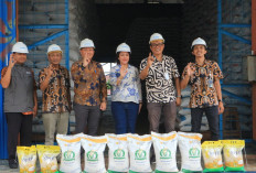 Elisa Ermasari Tinjau Gudang BULOG Bengkulu, Pastikan Stok Beras Aman dan Harga Tetap Stabil