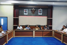 Pemkab Lebong Minta Dukungan DPD RI Percepat Operasional PLTP 2028