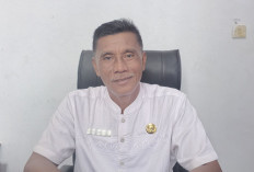 Investor Baru Masuk ke Bengkulu Utara,   Pabrik Sawit Bakal Berdiri di Kecamatan Lais