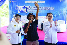 Serapan Pupuk Subsidi di Bengkulu 24 Ribu Ton Baru Diawal Tahun 