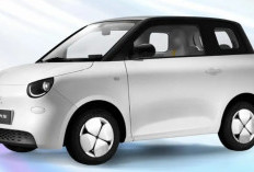 2026, Suzuki Akan Hadirkan Mobil Listrik