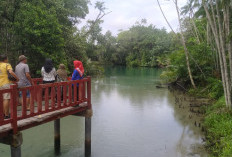 Obyek Wisata Bengkulu, Bak Blaw Danau Biru di Pulau Enggano, Begini Keunikannya