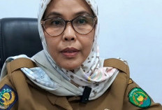 Warga Resah ODGJ Berulang Kali Mencuri, Dinsos Minta Semua Pihak Terlibat