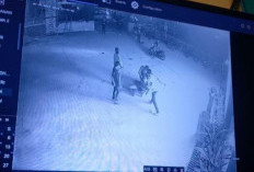 Sebelum Ditemukan 2 Pemuda Tak Bernyawa, Ada Perkelahian Terekam CCTV Dekat Lokasi, Begini Kata Kapolres 