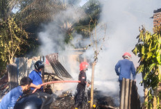 Diduga Korsleting Listrik, Rumah Warga Talang Indah Hangus Terbakar