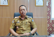  617 Hektare Cetak Sawah Enggano Dilanjutkan 2026, Segini Progresnya