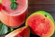 Jus Jambu Merah Menaikkan Trombosit Darah? Ini Penjelasannya 