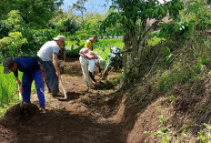 Dusun Sawah Buka   Jalan Usaha Tani