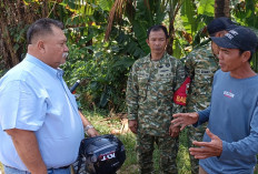 Bupati Tinjau Langsung Pengelolaan Limbah PT SBS, Pastikan Pemeriksaan Berjalan Transparan