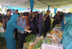  HKG PKK ke-53 di Bengkulu Utara,   Kolaborasi Wujudkan Keluarga Ini