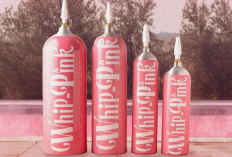 Apa Itu Whip Pink,Gas Tertawa yang Sedang Viral, BNN Ingatkan Bahayanya 