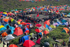  Ribuan Pendaki Rayakan HUT   ke-81 RI di Puncak Bukit Kaba
