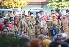 Perampingan OPD Bergulir ke DPRD Provinsi Bengkulu, Sekda Jelaskan Nasib Pegawai