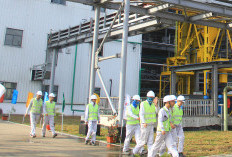 Retribusi TKA Capai Rp 809 Juta, Di Kota Bengkulu Terdapat104 Tenaga Kerja Asing