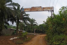  Akses Jalan Tanah Dikeluhkan Warga Bengkulu Utara 