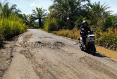  Ruas Jalan Karang Tinggi-Pelajau Mulai Rusak, Begini Kondisinya