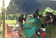  Petani di Bengkulu Utara   Harapkan Kenaikan Harga Ini