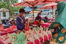 Harga Pangan Jelang Nataru Masih Stabil, Berikut Hasil Pantauan Disperindag Kota Bengkulu ke Pasar-pasar