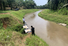 Alih Fungsi Lahan Terus Terjadi, Ini Alasan Petani