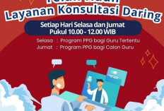 Kemendikdasmen Buka Layanan Konsultasi  Daring PPG,  Berikut Jadwalnya  