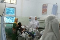 Di Balik Penemuan Bayi di Bawah Jembatan Padang Guci, Kades Ungkap Diawali dengan Cekcok Keluarga