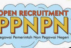 Buruan Daftar, Bea Cukai Buka Lowongan PPNPN 2026,  Lulusan SMA Bisa Daftar Cek Syarat  