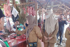 Isu Daging Sapi Mati Bikin Resah, Distan BS: Waspadai Ciri-Cirinya!
