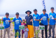 Peluncuran Proyek 'The Indonesian Coastal Greenbelt' untuk Pelestarian Pesisir