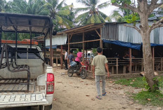 Resahkan Warga, Satpol PP Bengkulu Selatan Bongkar Warem 