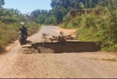 Jalan Putus Bungamas–Pasar Sembayat, Pemkab Siapkan Anggaran Rp 230 Juta